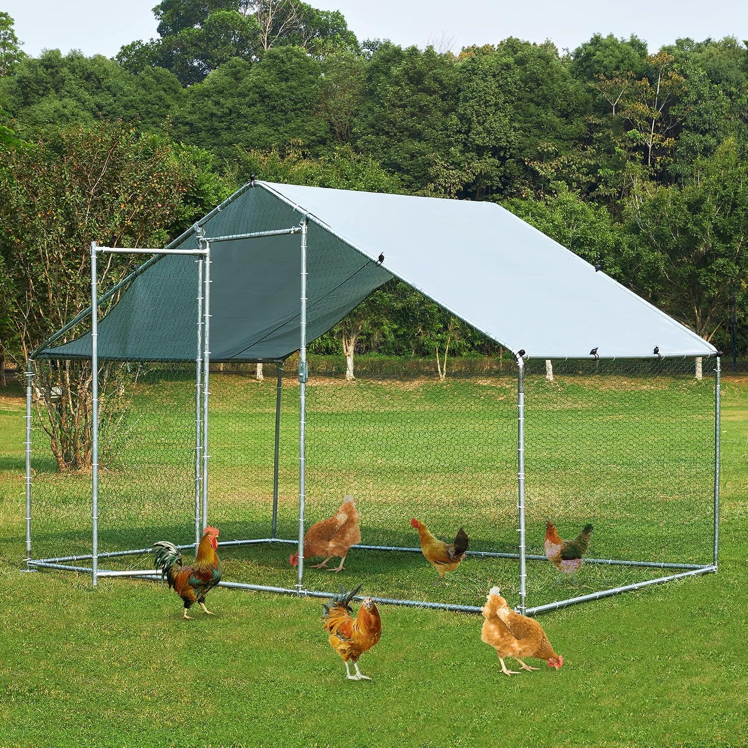 TOETOL Metal Chicken Coop with Run Walk-in Poultry Habitat with Waterproof and Anti-Ultraviolet Cover, 6.5ft L x 9.8ft W x 6.5ft H