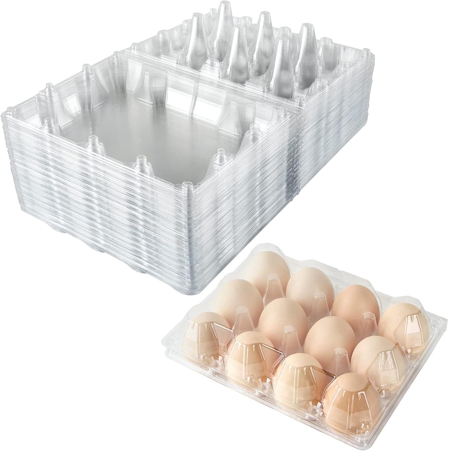 Plastic Egg Cartons Bulk, 48 Packs Empty Clear Plastic Egg Carton Holds Up to 12 Eggs