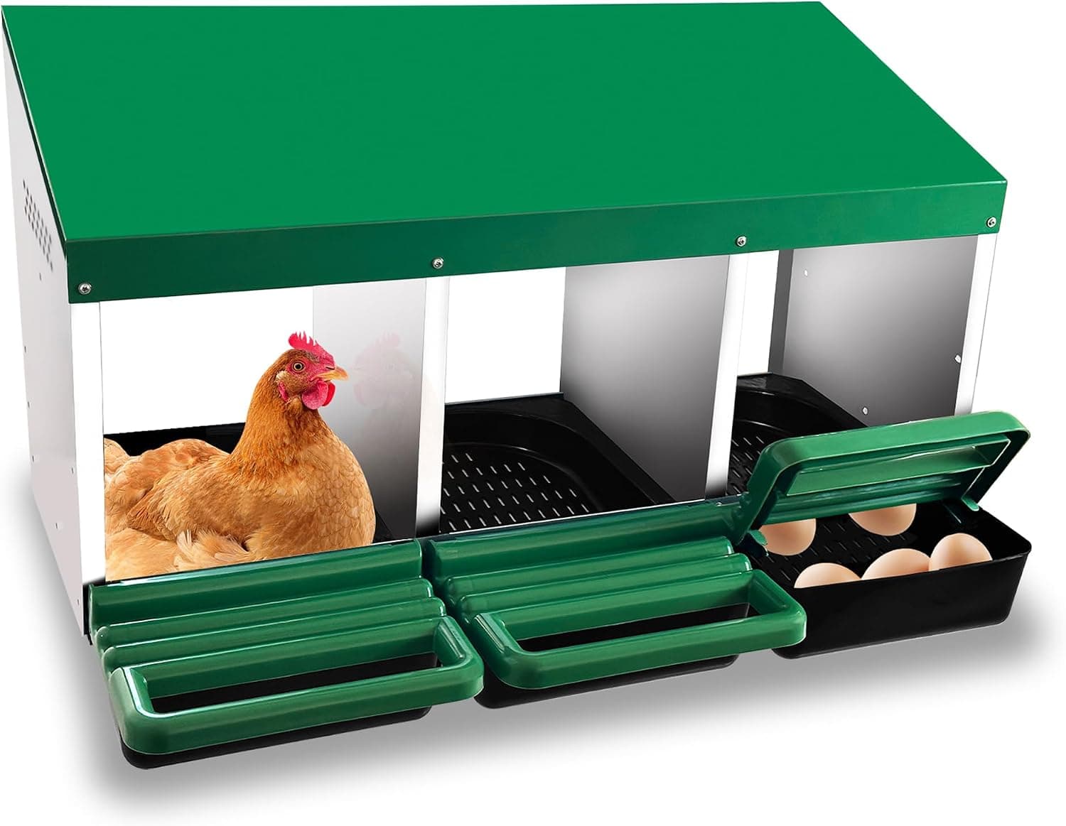 Eggluuz Chicken Nesting Box, 3 Compartments Egg Laying Nest Boxes for Hens, Green