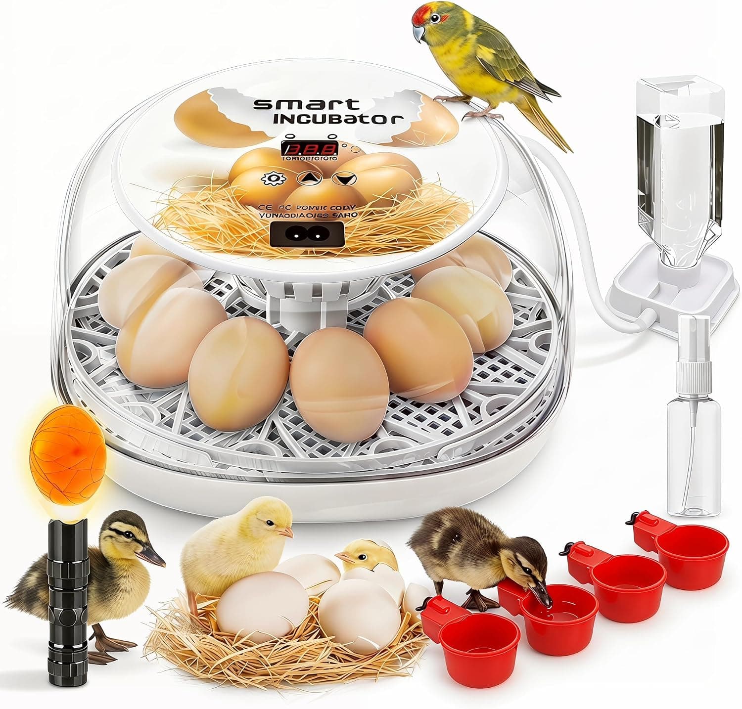 Smart Egg Incubator with Automatic Egg Turner for 12 Eggs, 360 Degree Clear Window and Temperature Display