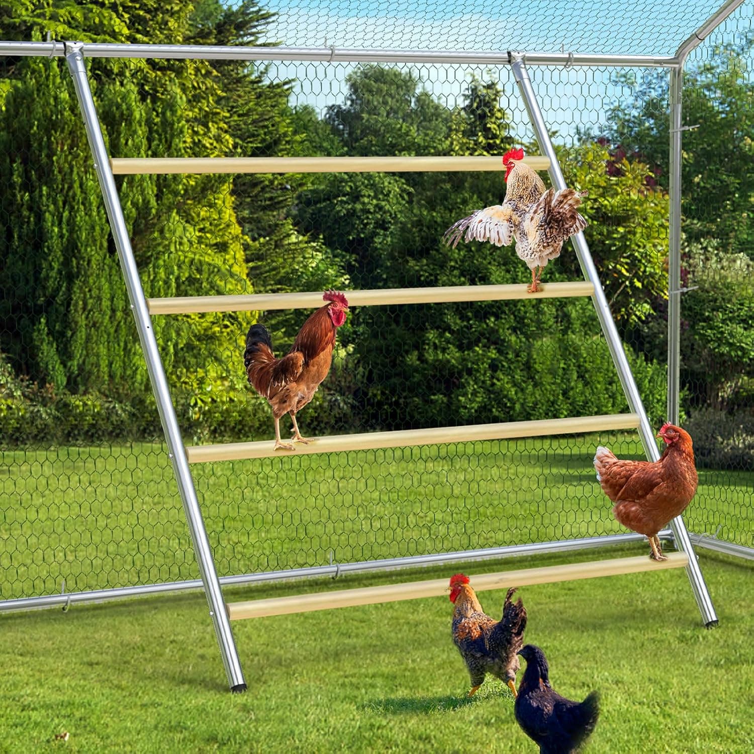 Oranland Chicken Coop Roosting Perch for Backyard Poultry, 56 in L x 41.5 in W