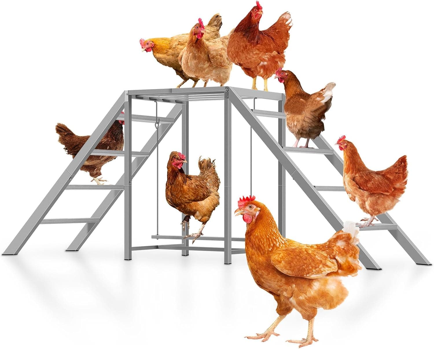 Chicken Coop Perches with Swing, Chicken Roosting Bars and Wooden Ladder for Backyard Farm