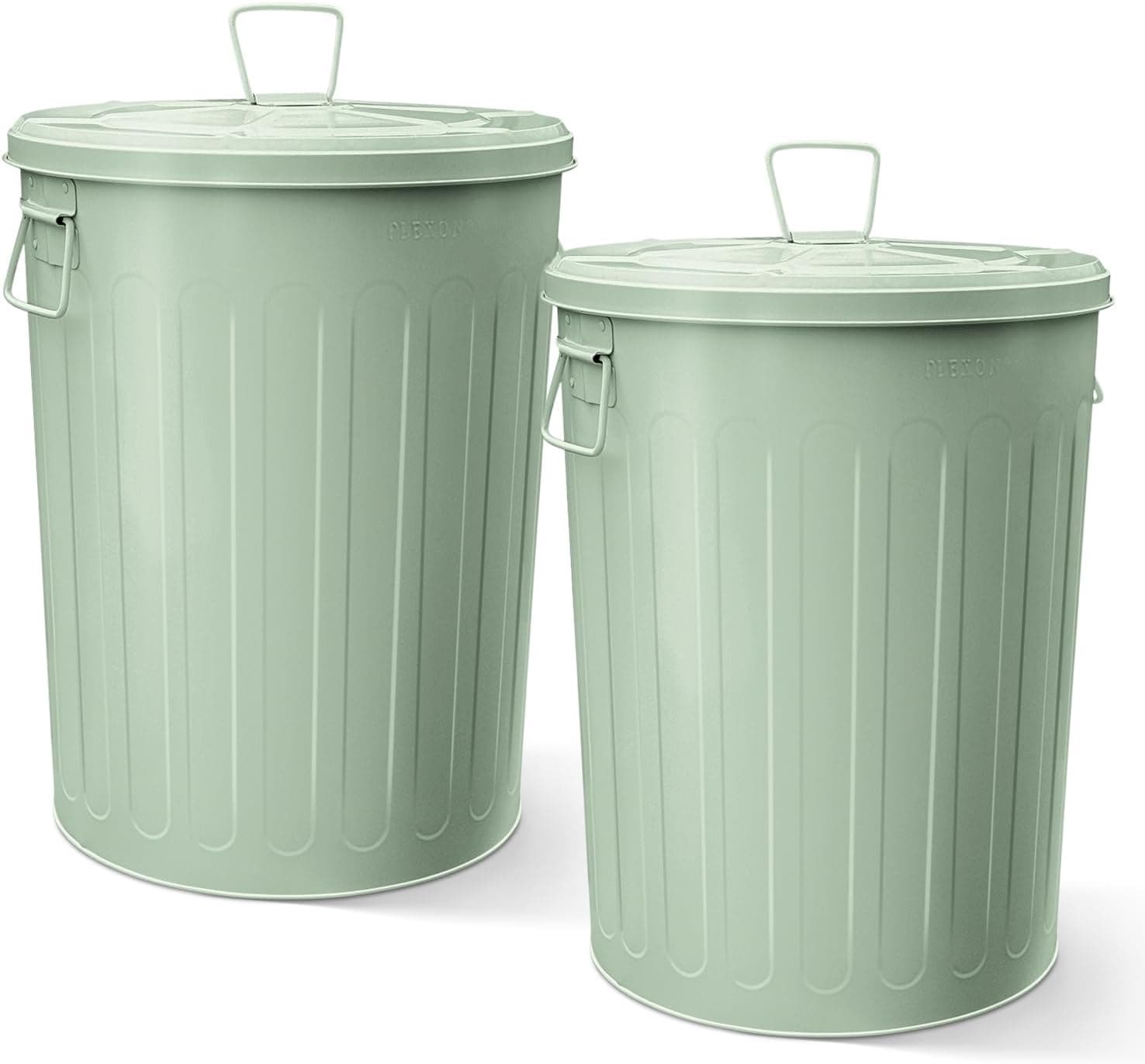 Plexon 20 Gallon Metal Trash Can with Lid, Galvanized Steel Bird Seed and Feed Storage Can, Black