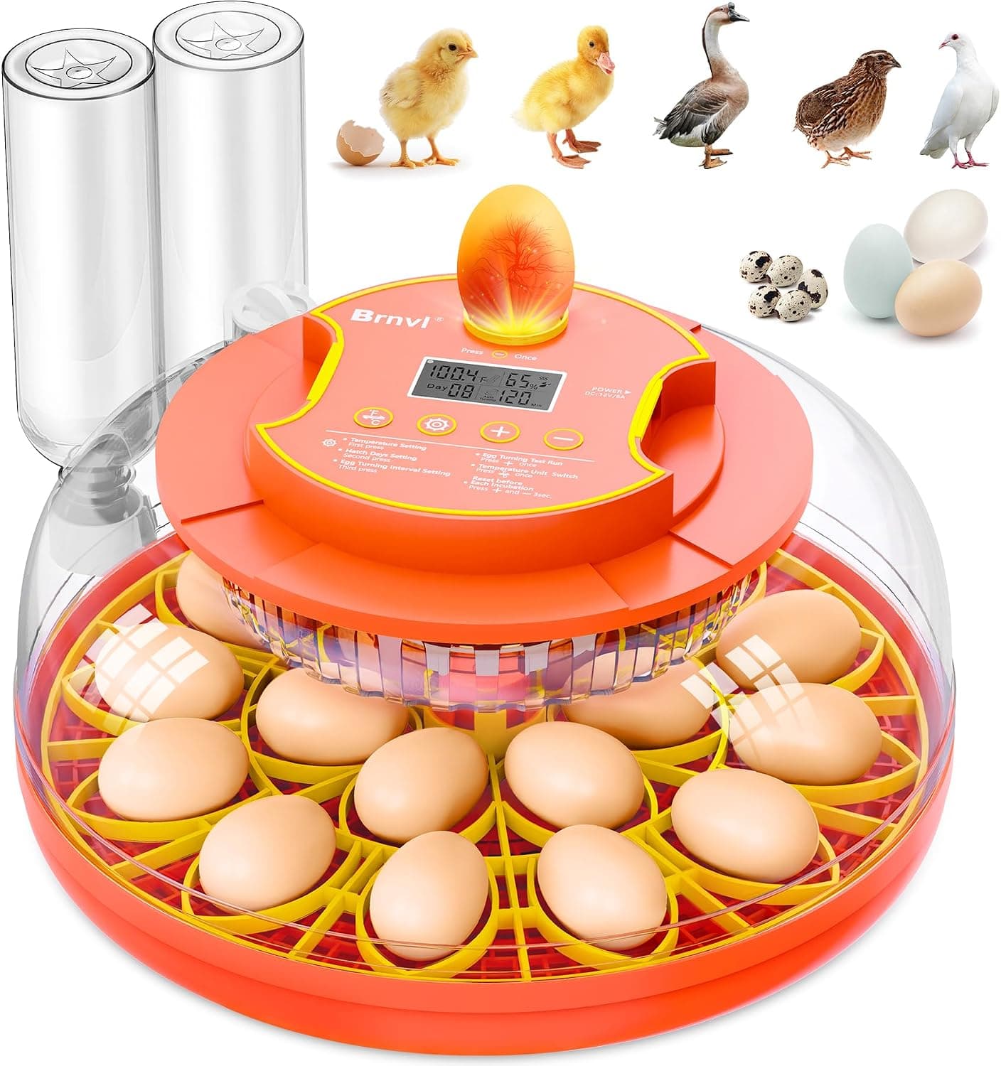 18 Egg Incubator with Automatic Egg Turning, Digital Temperature Humidity Control and 360 Degree View Candler