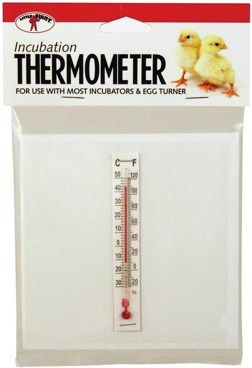 Little Giant Incubator Thermometer Kit, Temperature Measure for Inside Incubator When Incubating Eggs