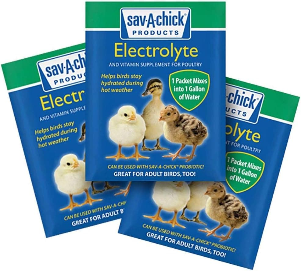 Best Electrolytes and Vitamin Supplements for Chickens