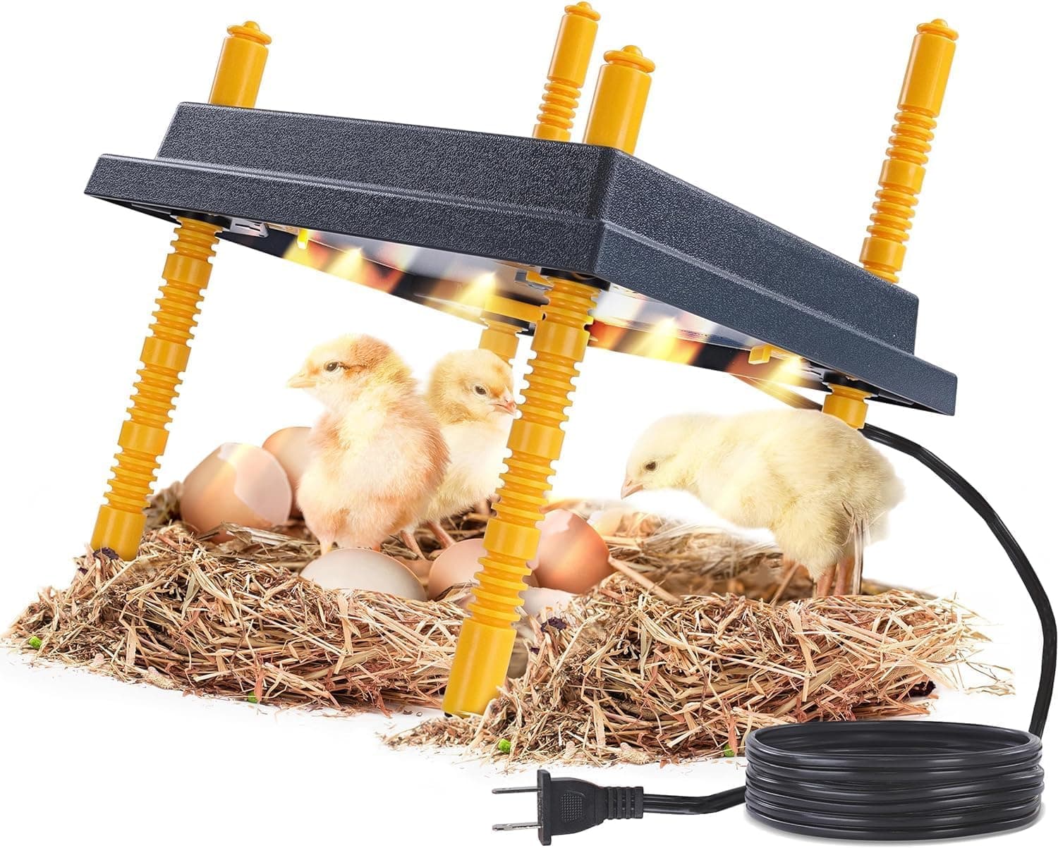 Premier 1 Chick Brooder Heating Plate with Adjustable Legs - 12 in x 12 in - Warms Up to 20 Chicks