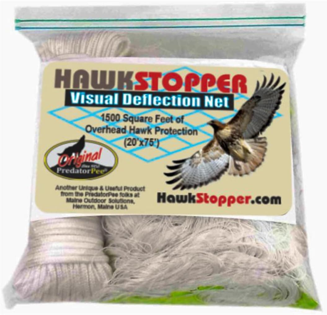 Best Hawk Deterrents for Backyard Chicken Runs