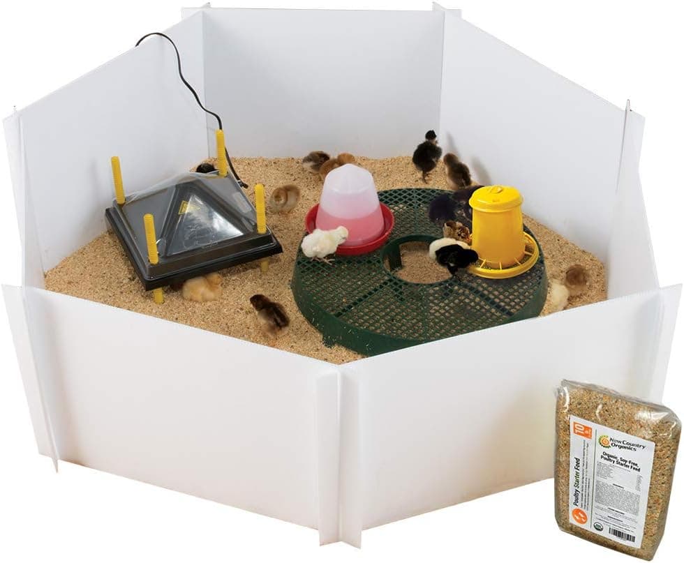 Premier 1 Chick Heating Plate Brooder Kit - Includes 12 in x 12 in Plate with Adjustable Legs, Cover, 7 Reusable Panels, Stand, 3 lb Feeder, Waterer, 10 lbs Starter Feed - Warms Up to 24 Chicks