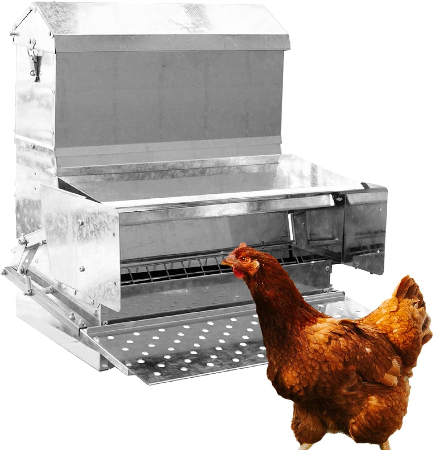RentACoop 40 lb Automatic Treadle Chicken Feeder, Metal Rat Resistant Rainproof Step-On Feeder