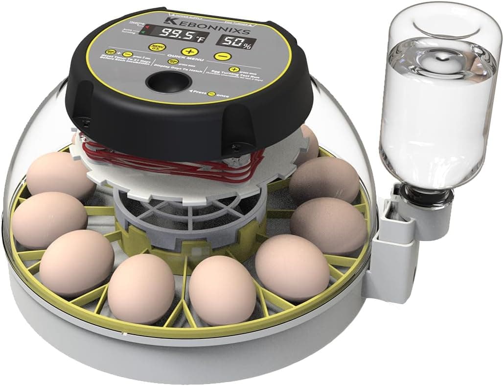 Best Egg Incubators for Home Hatching