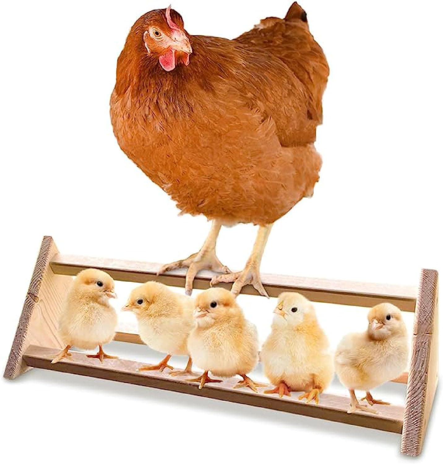 Backyard Barnyard Chicken Perch, Strong Wooden Roosting Bar Made in USA for Coop and Brooder