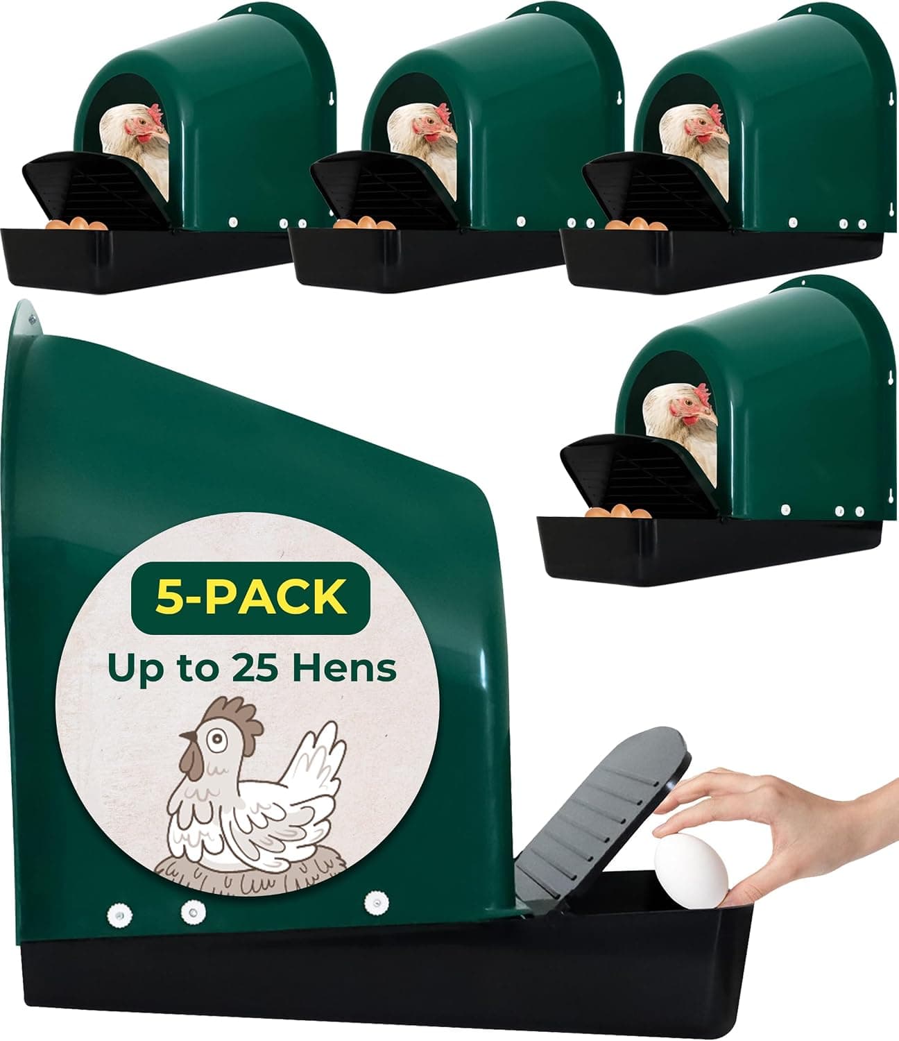 Chicken Nesting Boxes 5-Pack with Roll-Out Egg Collection Trays, Plastic Laying Box with Perch, Green