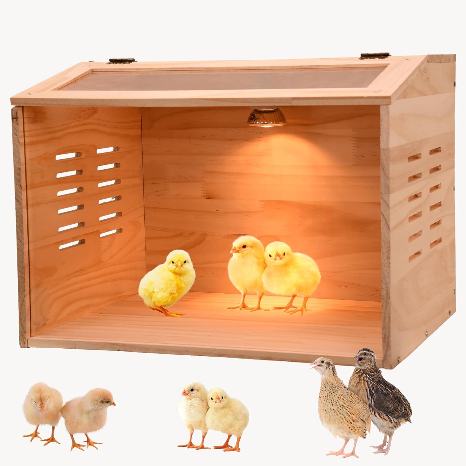 Brooder Box for Chicks, Chicken Brooder Box, Chicken Heater, Poultry Brooder with Heaters for Baby Chicks, Ducks, Quail Birds