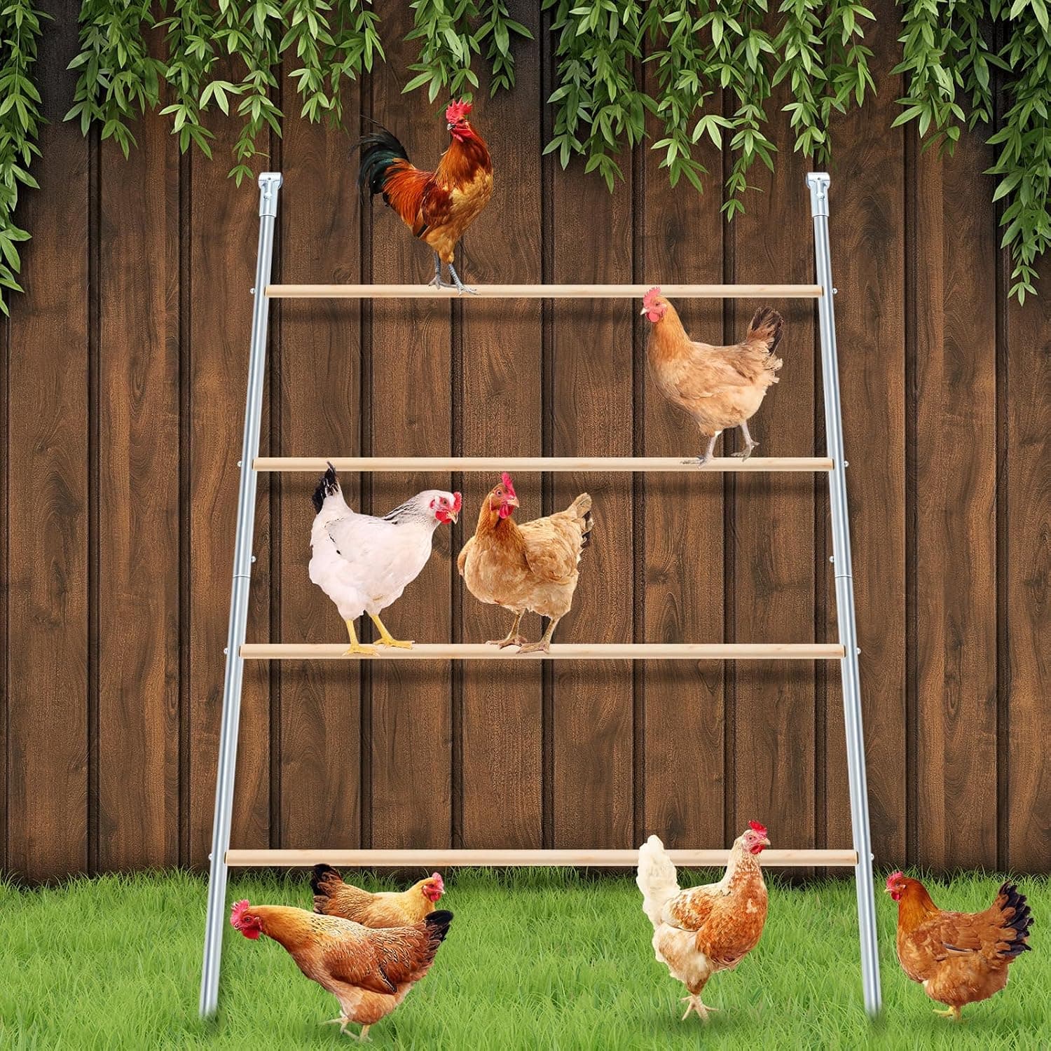 Wenqik Large Chicken Perch Roosting Bars for Coop, Galvanized Wood Ladder, 55 in L x 41 in W