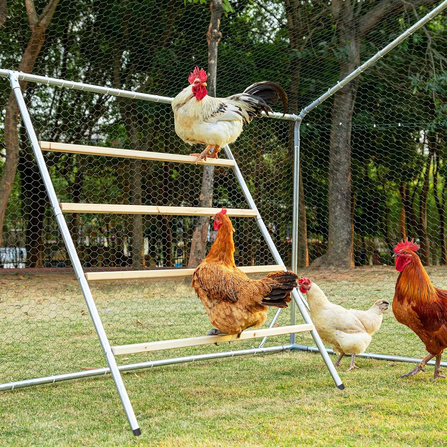PETSFIT Square Chicken Roosting Perch for Backyard Poultry, 55 in L x 40 in W