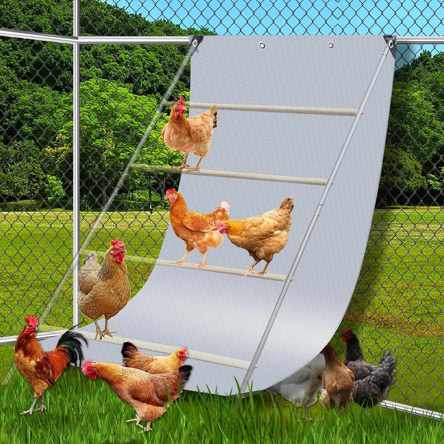 Chicken Coop Poop Hammock Waterproof and UV with 8pcs Ball Bungees Cords, 6.5 x 4 FT Poop Deck for Chicken Roosting Perch to Catch the Chicken Poop, Chicken Coop Tarp for Poultry