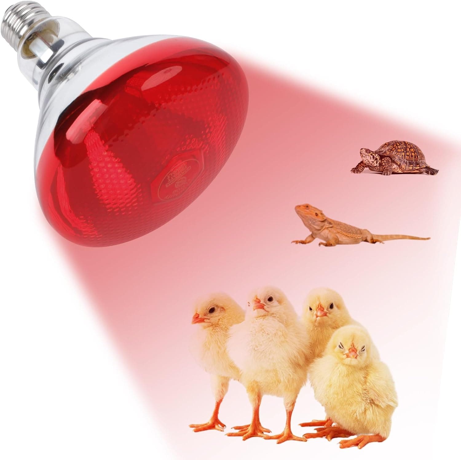 REPTI HOME 250W Red Heat Lamp Bulbs for Chicken, Infrared Flood Light Heat Lamp Bulb, Par38 Glass E26 Base