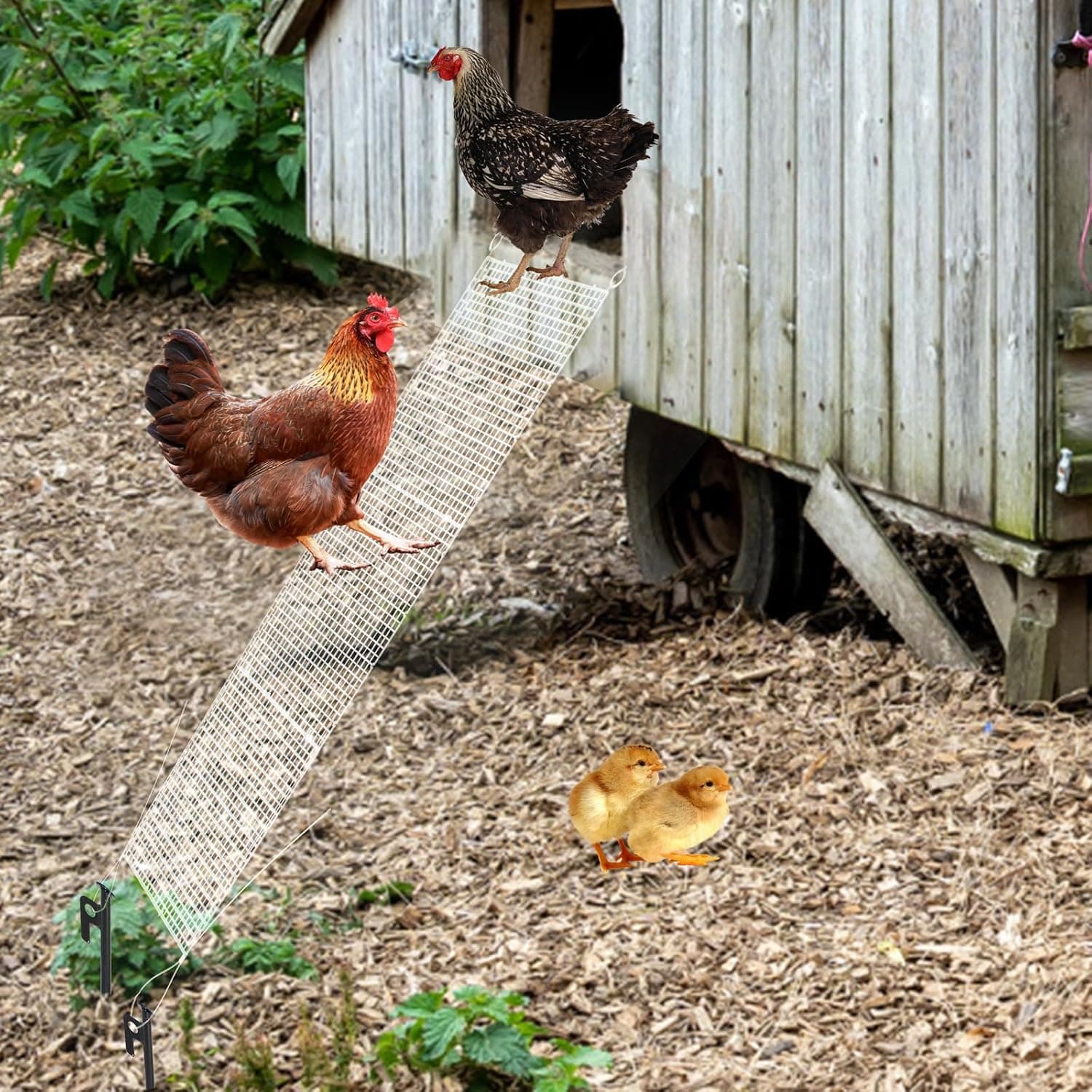 Chicken Coop Ramp, Plastic Chicken Ladder for Coop Henhouse, Waterproof 35.4 x 11.8 Inch