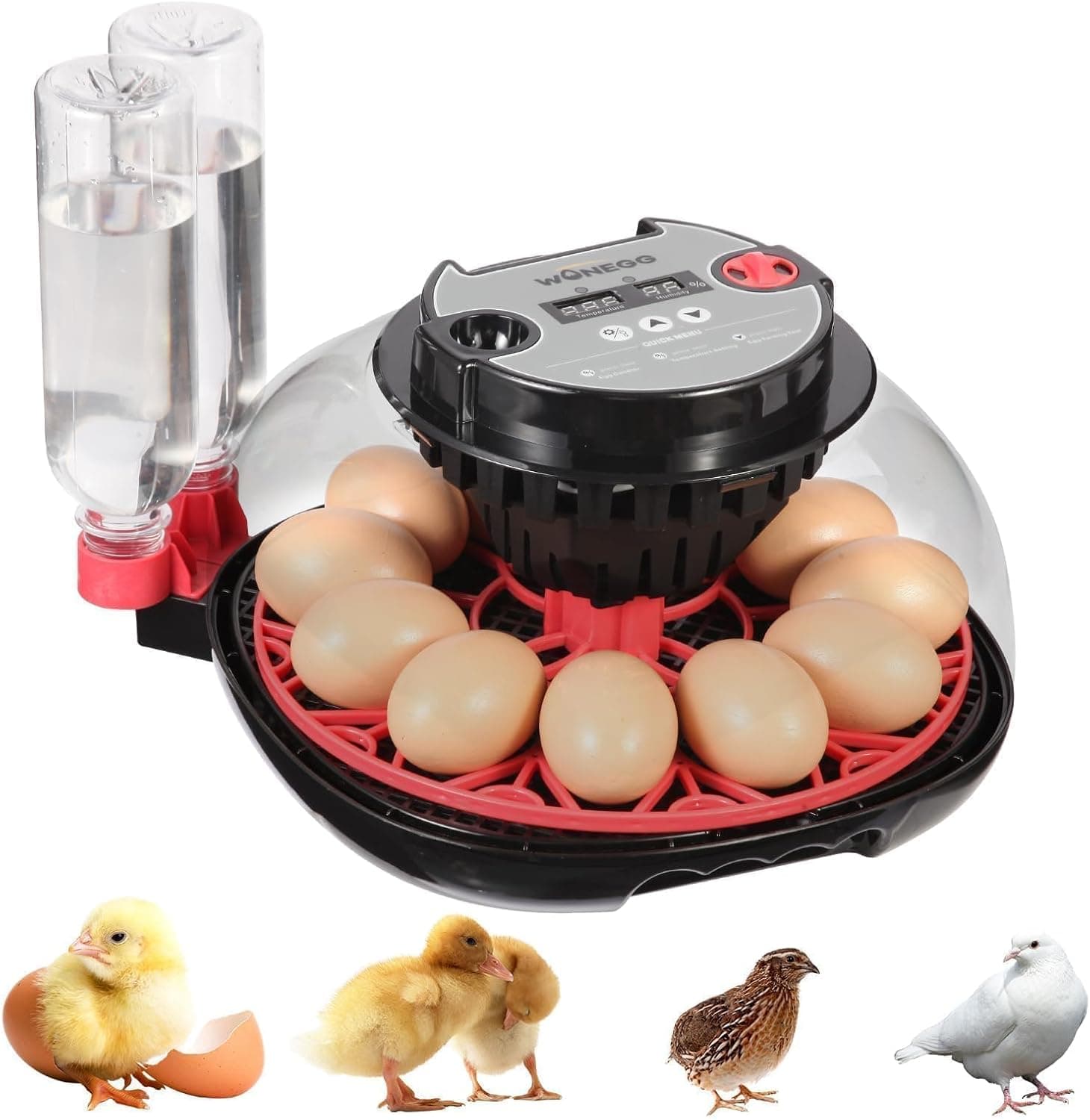 ZEMIRO Series II 12 Egg Automatic Incubator with Smart Adaptive Humidity, Auto Temp Control and Built-In Candler