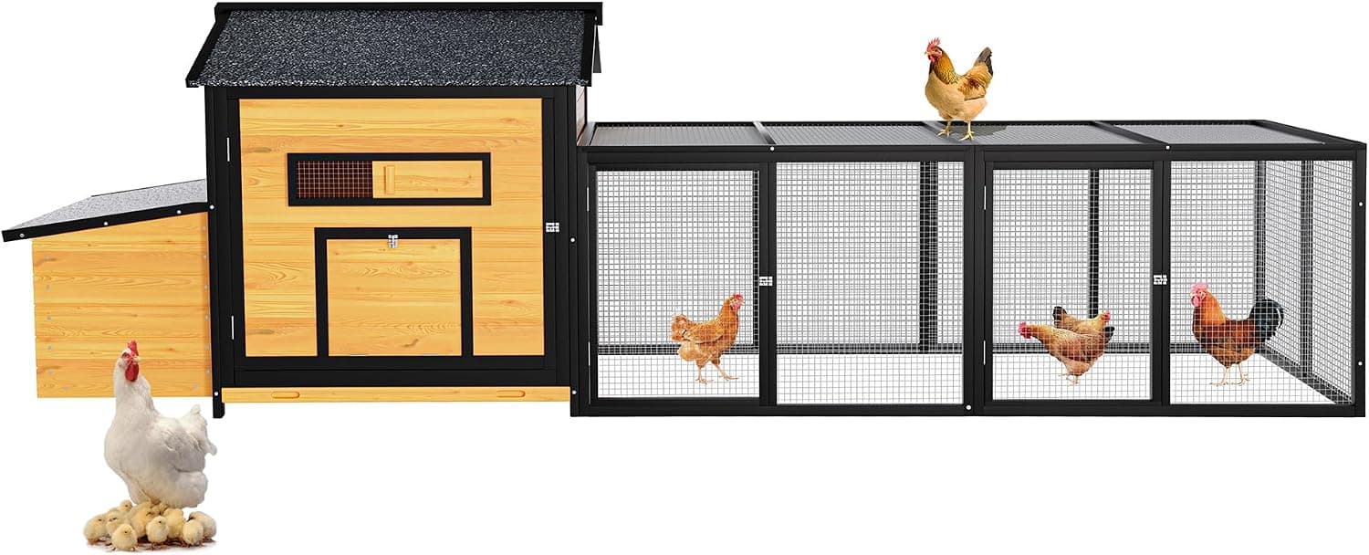 Best Large Chicken Coops for Bigger Flocks