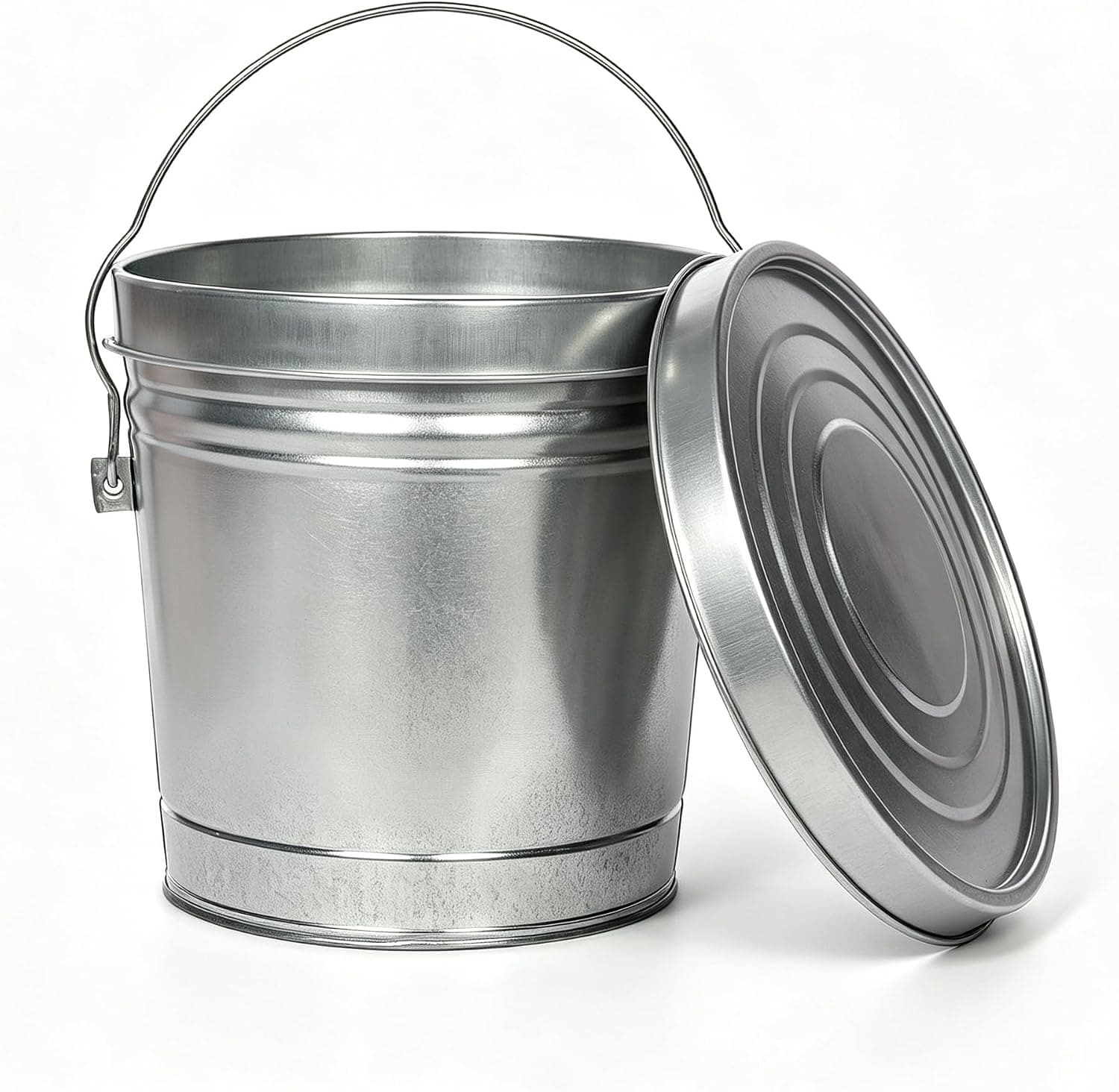 Galvanized Steel Storage Can, 6 Gallon with Locking Lid, Rodent and Rust Resistant Metal Bin for Pet Food, Bird Seed, Charcoal